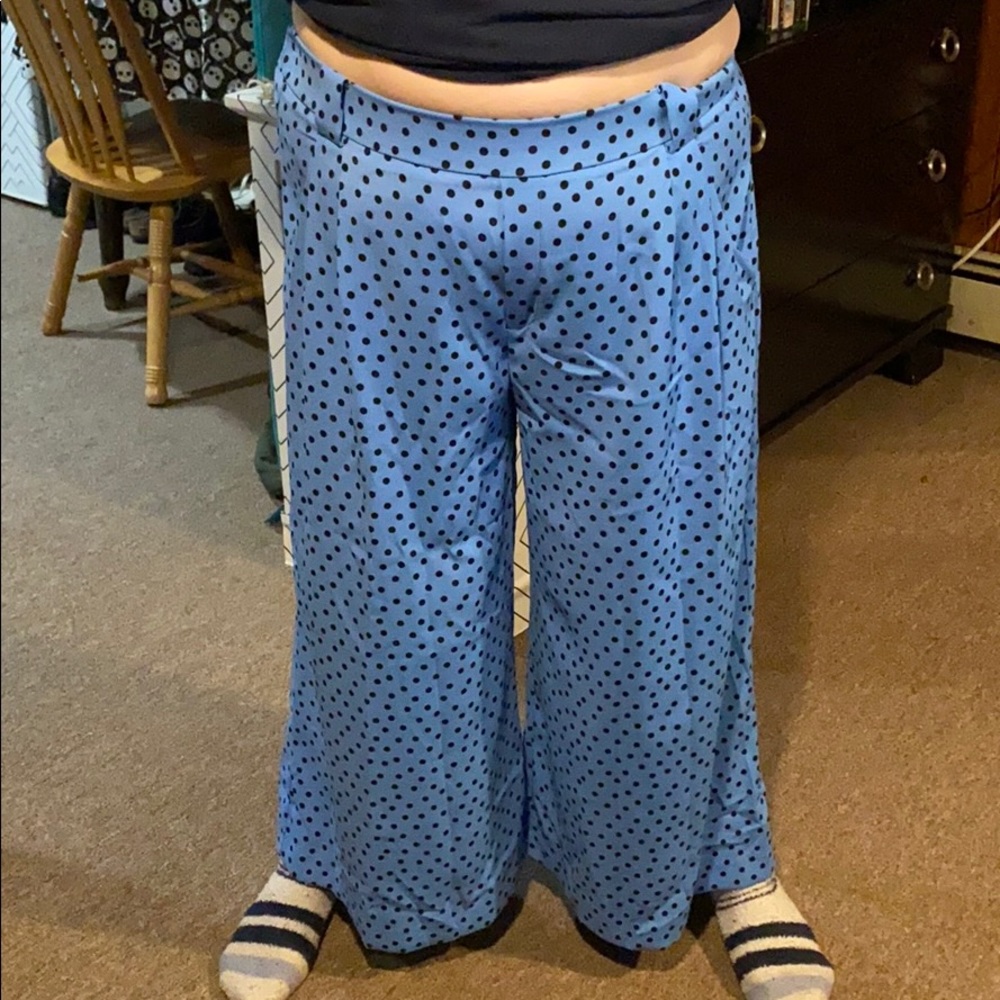 Zara Blue Polka Dot Culottes